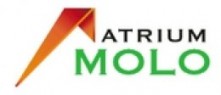Logo Atrium Molo