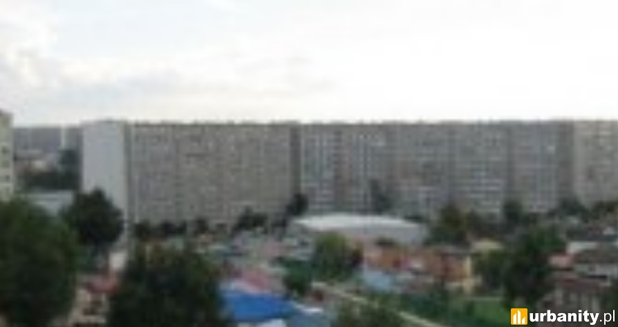 Miniaturka Okrzei 6