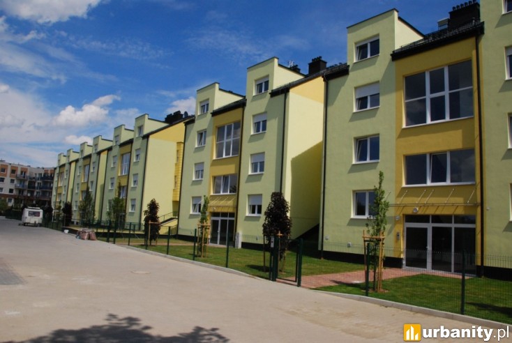 Miniaturka Wille Słoneczniki