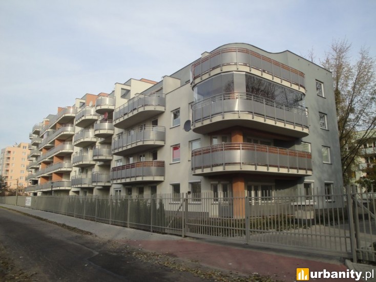 Miniaturka Żółwia 14,18