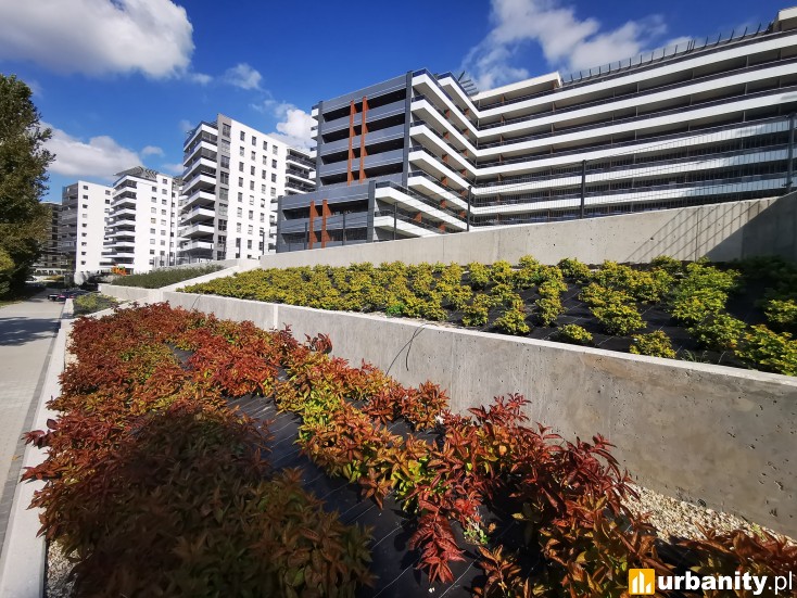 Miniaturka Apartamenty Jagiellońskie Etap III