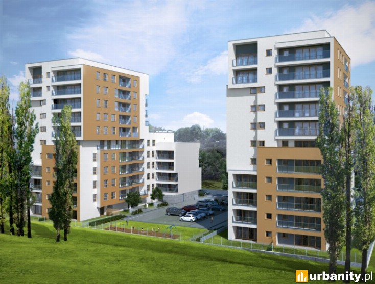 Miniaturka Begonii 5