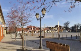 Rynek