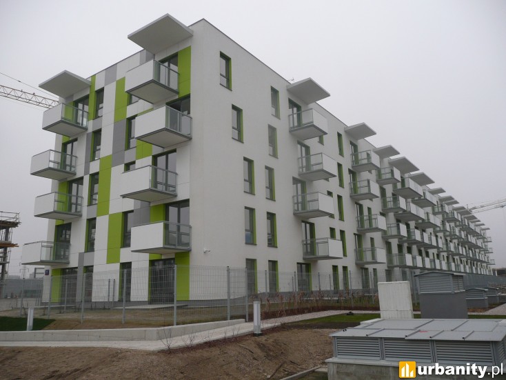 Miniaturka Accent Vert