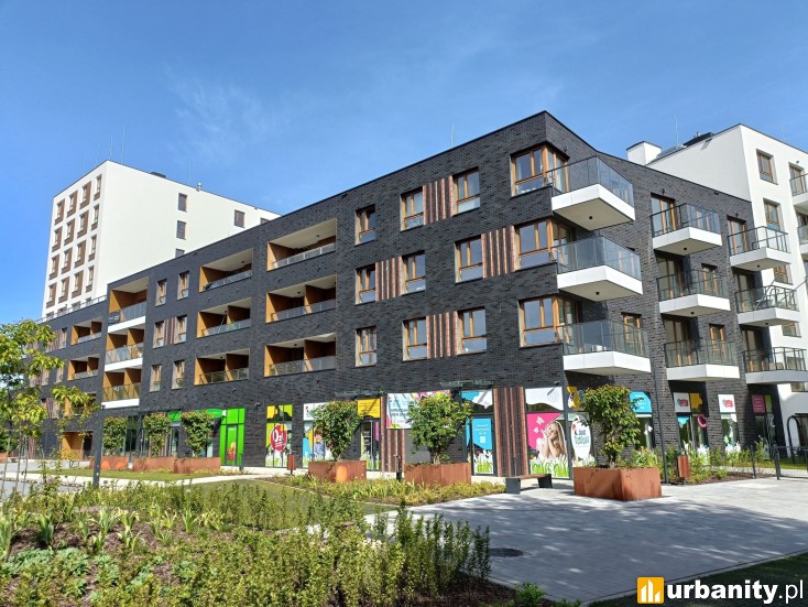 Apartamenty Ludwiki