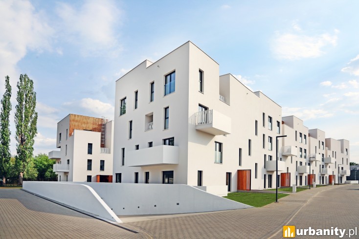 Miniaturka Bacciarellego 54