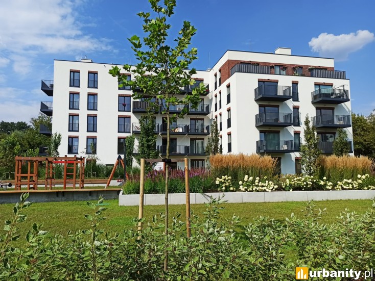 Miniaturka Mała Olszyna