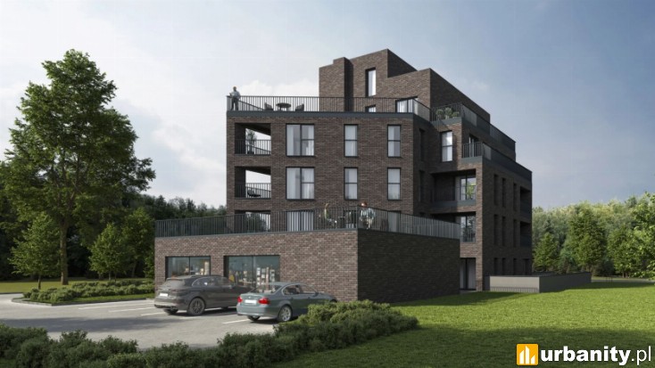 Miniaturka Fasolowa 29