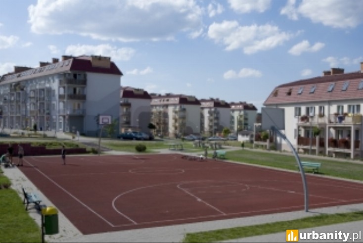 Miniaturka Zielony Romanów
