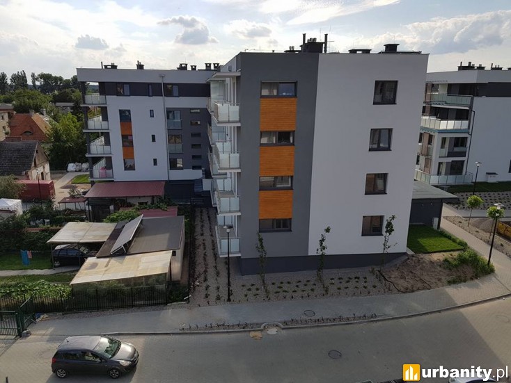 Miniaturka Ptasie Ogrody