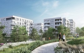 Zielony Widok
