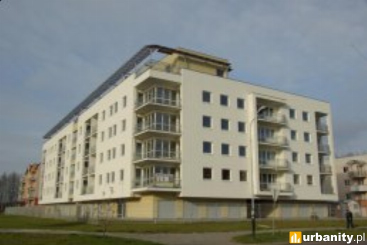 Miniaturka Longinusa Podbipięty 2