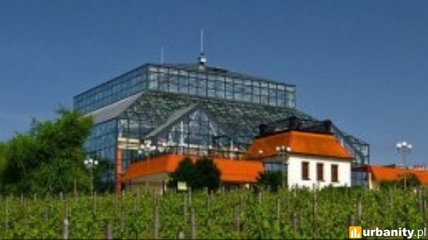 Miniaturka Palmiarnia