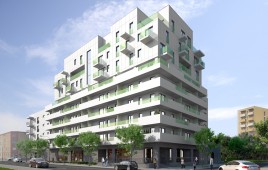 Szwedzka 43