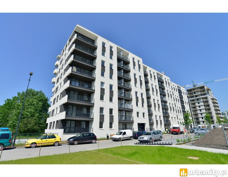 Miniaturka Orlińskiego 4