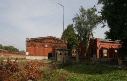 U Scheiblera 2