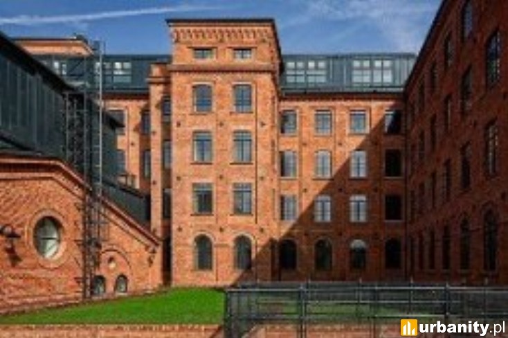 Miniaturka U Scheiblera