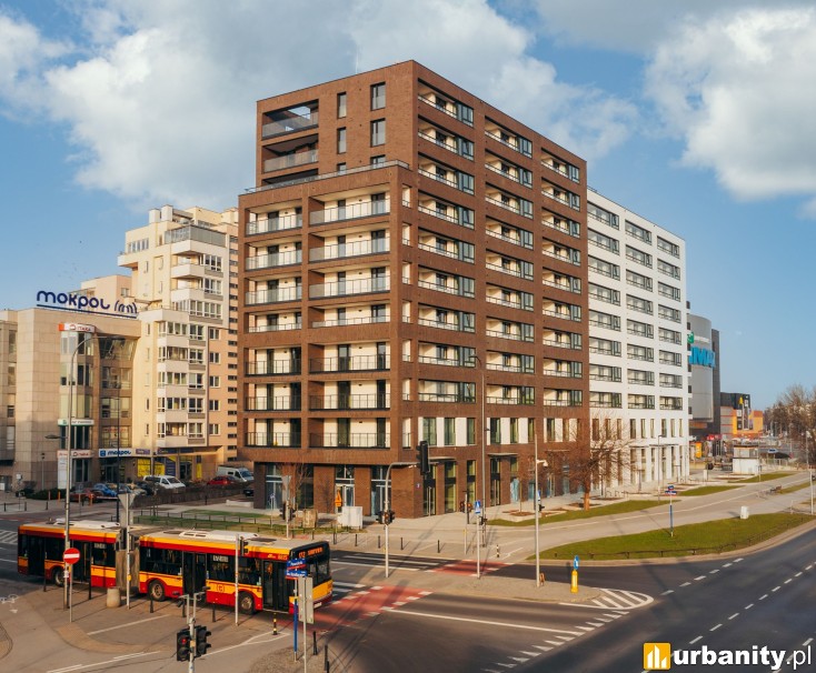 Miniaturka Sadyba Spot