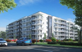 Bora Komorowskiego -E-