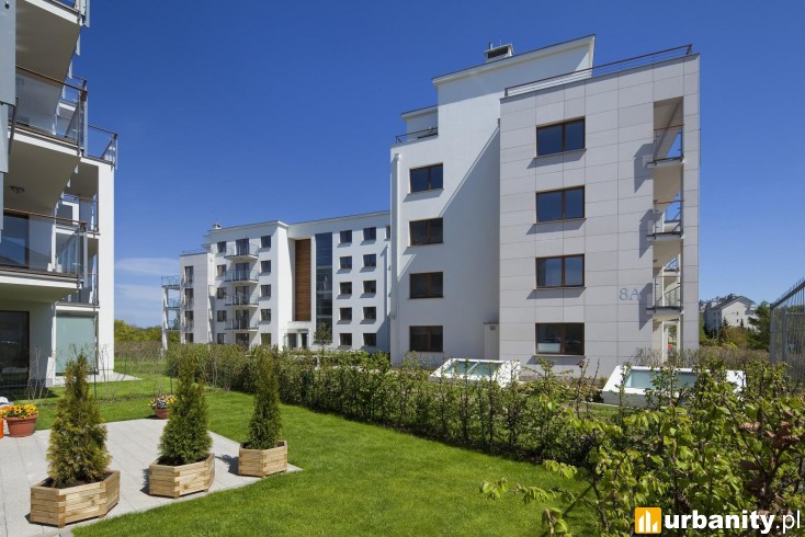 Miniaturka Wzgórze Focha