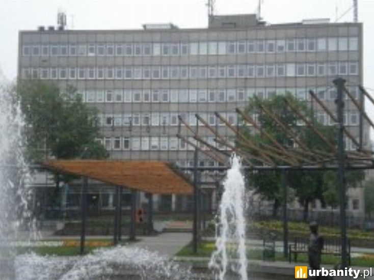 Miniaturka Zielona 8