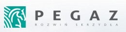 Logo Pegaz