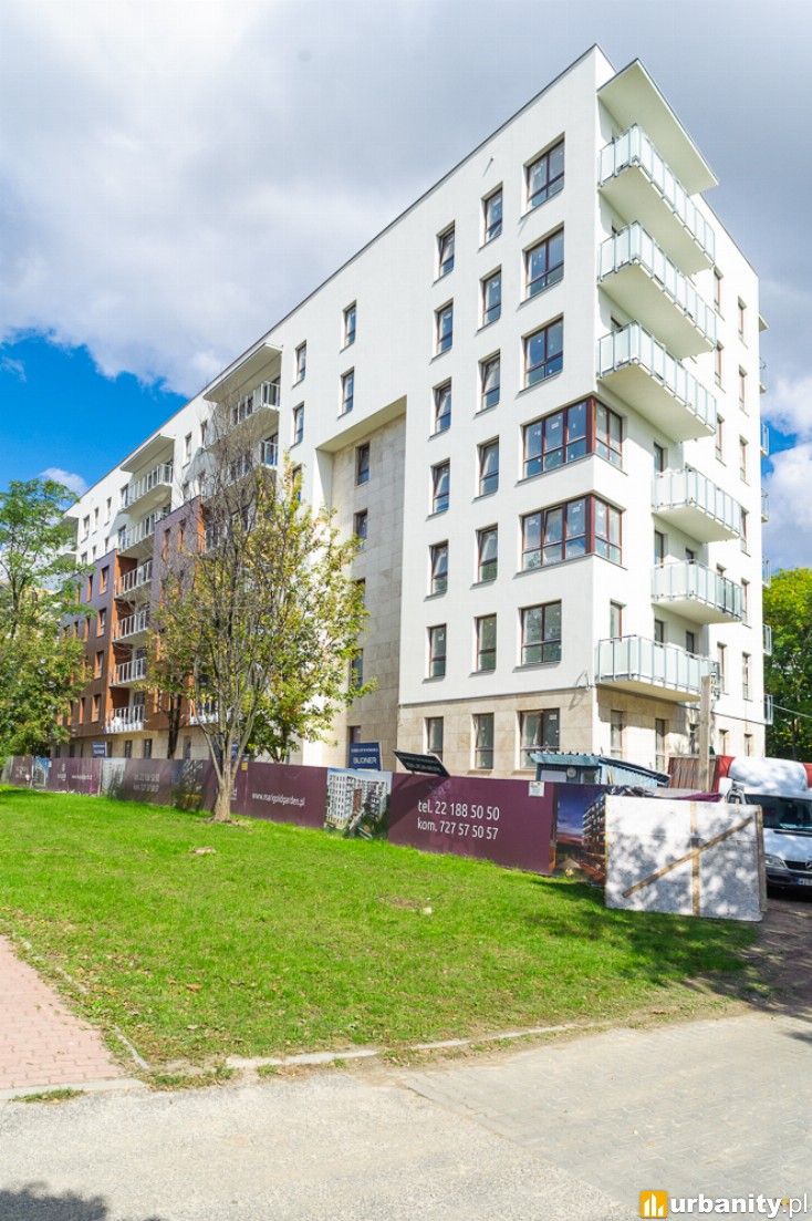 Miniaturka Marigold Garden