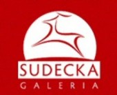 Logo Galeria Sudecka