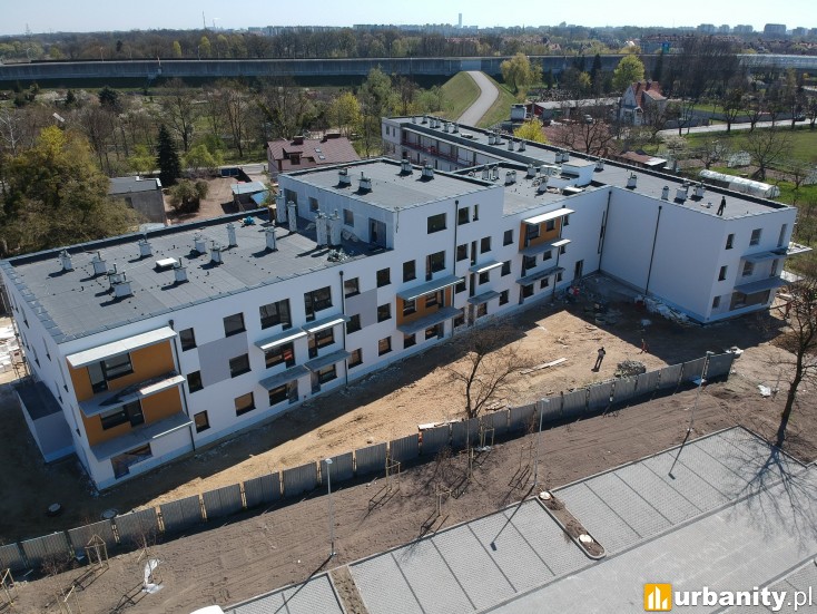 Miniaturka Rędzińska