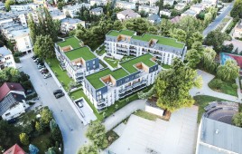 Wrzosowisko Moorlands