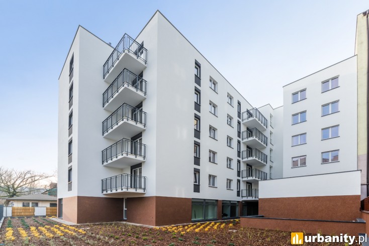 Miniaturka Czapelska 36