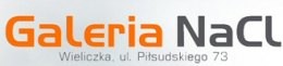 Logo Galeria NaCl