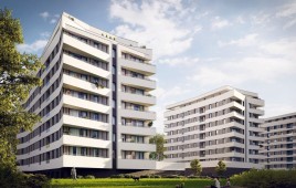 Sokołówka V