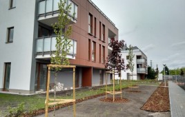 Zen Garden Mokotów