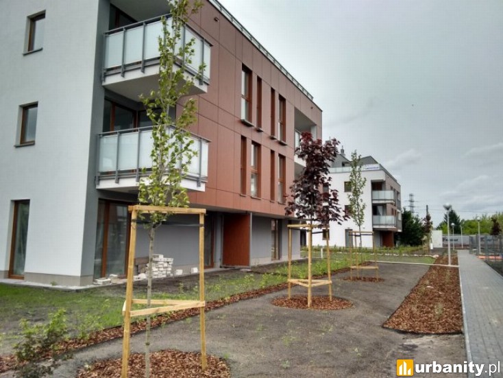 Miniaturka Zen Garden Mokotów