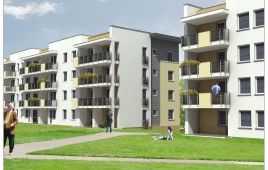 Żyzna 20
