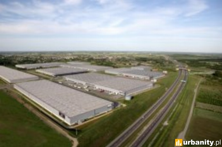 Miniaturka Tulipan Park Stryków