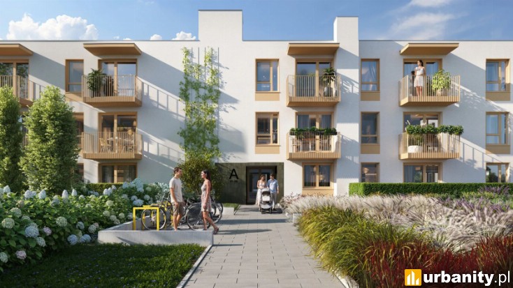 Miniaturka Aroniowa Vita