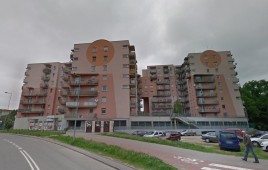 Światowida 60