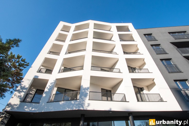 Miniaturka Chruściela 29