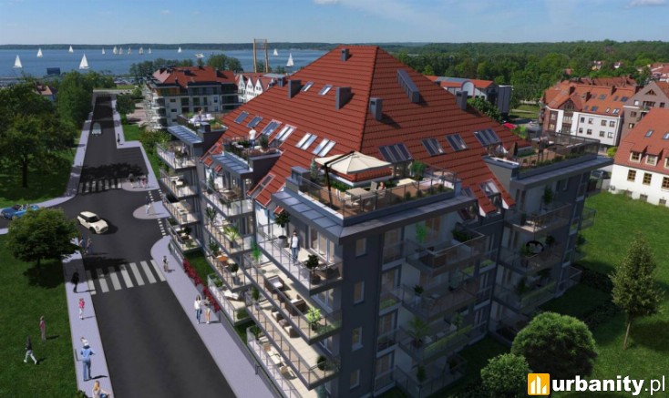 Miniaturka Róża Wiatrów