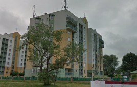 Aluzyjna 33