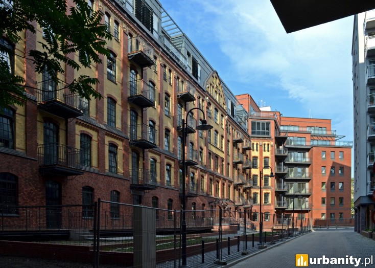 Miniaturka Lofty Platinum