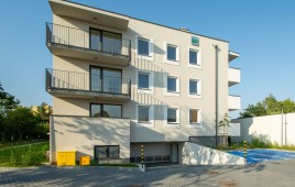 Glinki 17