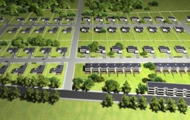 Zielony Bełchatówek