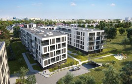 Zięby 3