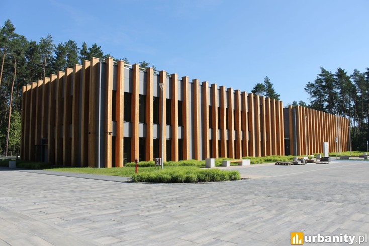 Miniaturka Regionalna Dyrekcja Lasów Państwowych