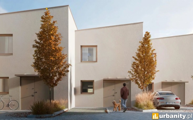 Miniaturka Strawińskiego