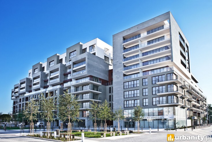 Miniaturka Angel Wings Faza A