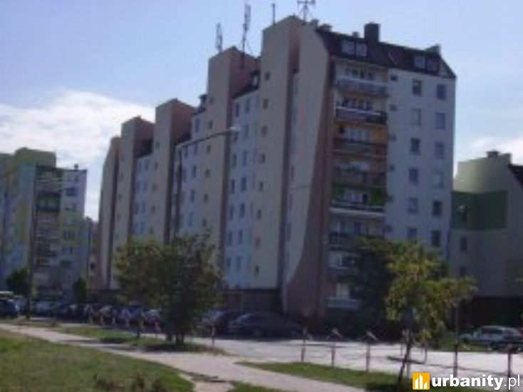 Miniaturka Budryka 14